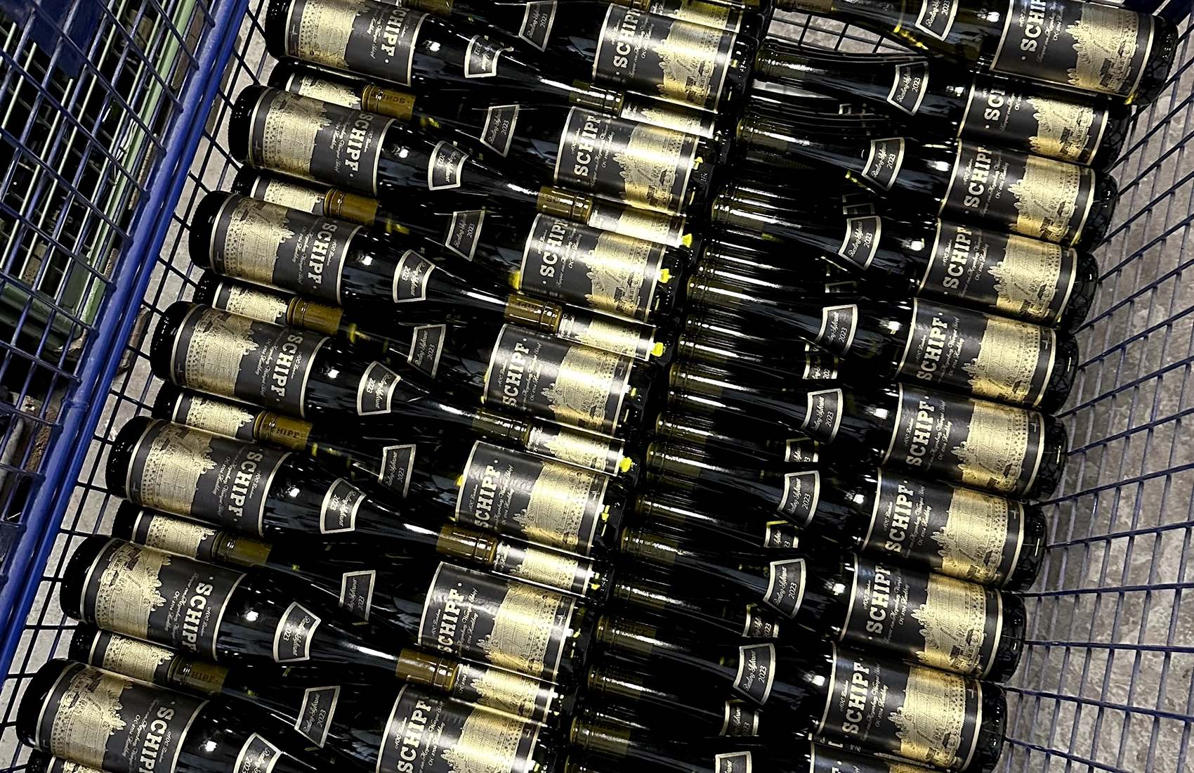 Weinreben auf Rebhügel von Weingut SCHIPF