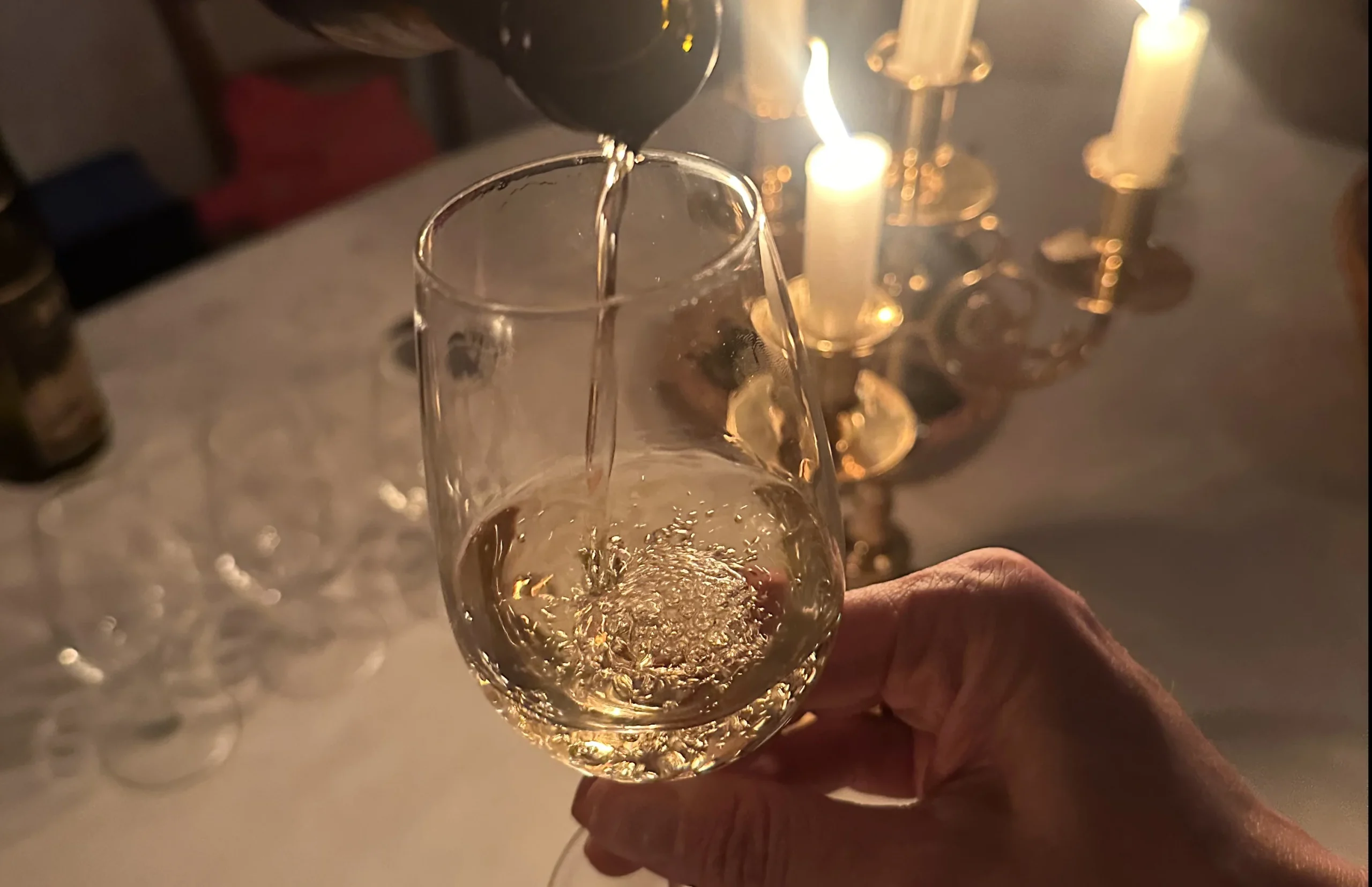 Weinreben auf Rebhügel von Weingut SCHIPF