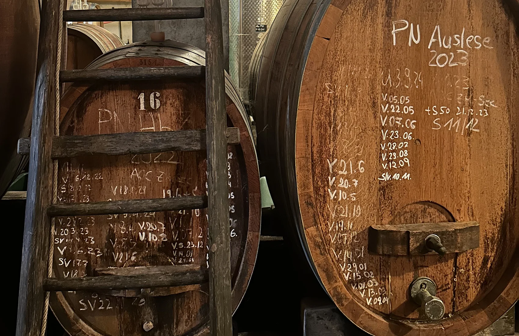 PINOT NOIR VERTICAL TASTING