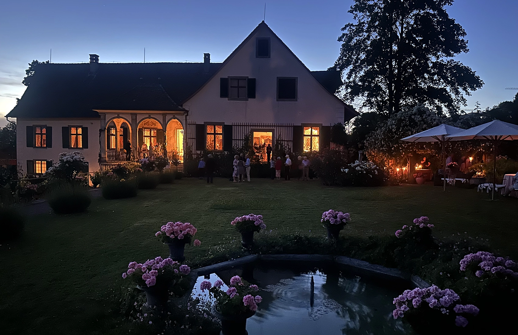 Weinreben auf Rebhügel von Weingut SCHIPF