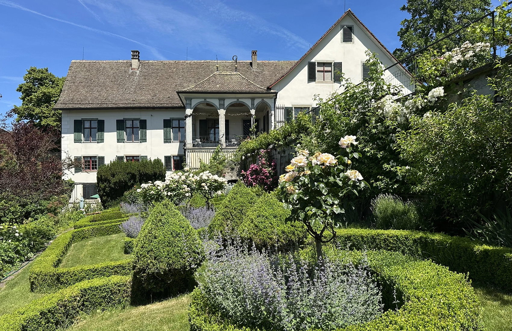 Weingut SCHIPF, Herrliberg