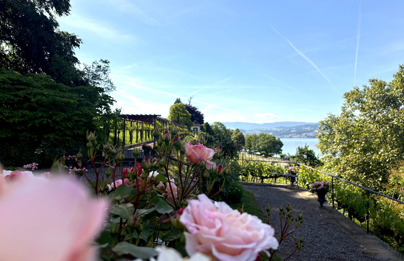 Garten Party – SCHIPF Weine im neuen Kleid