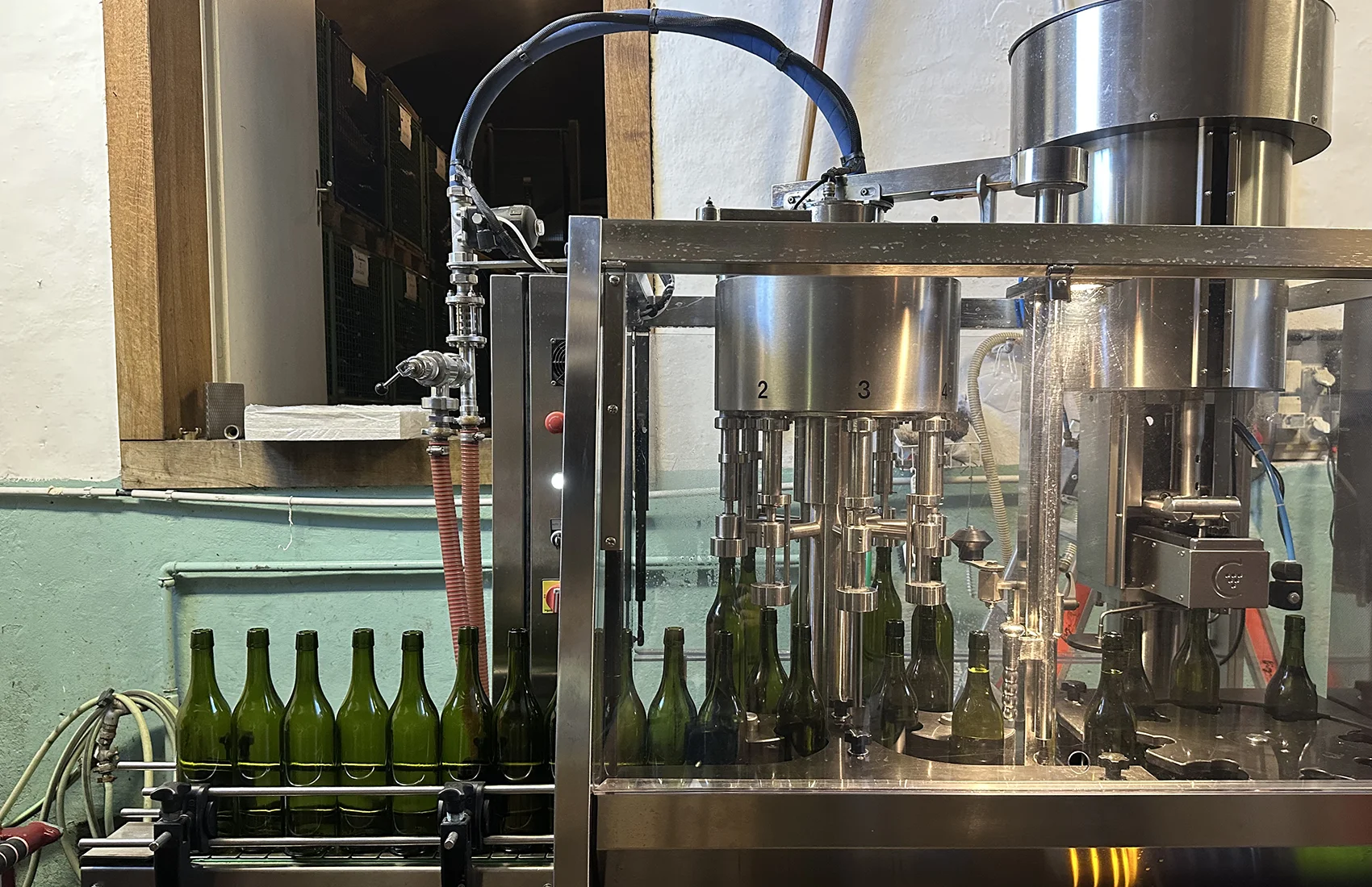 VON DER TRAUBE IN DIE FLASCHE